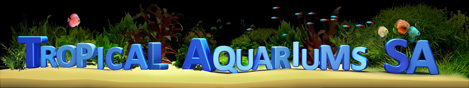 Tropical Aquariums South Africa