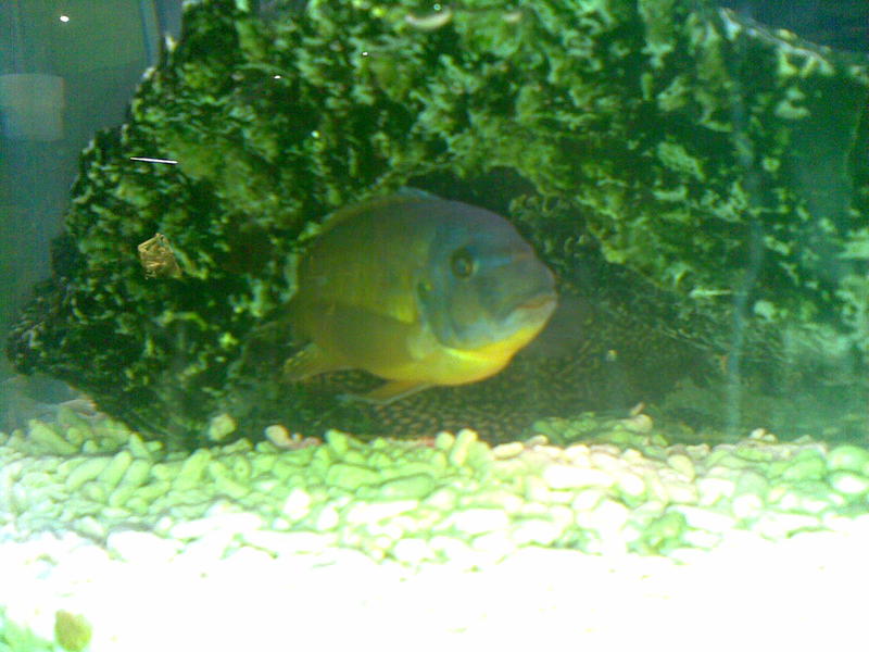 03052010(033).jpg