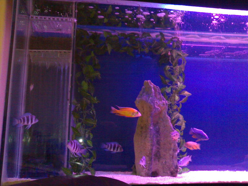 05072006205.jpg