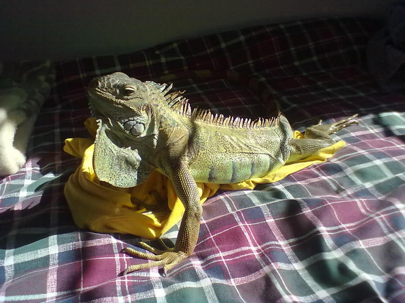 08102011049.jpg