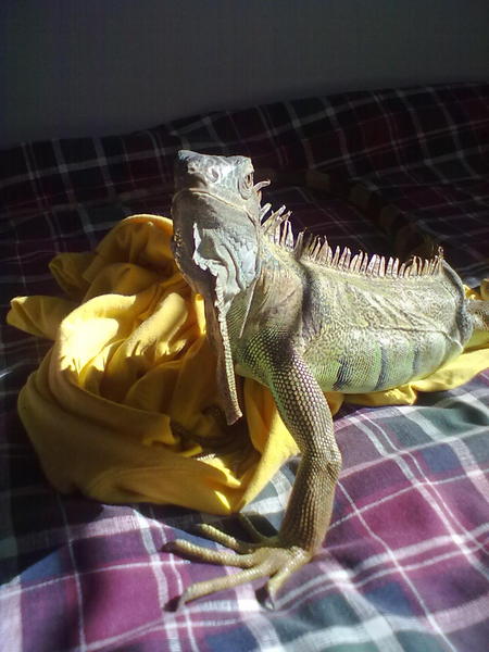 08102011050.jpg