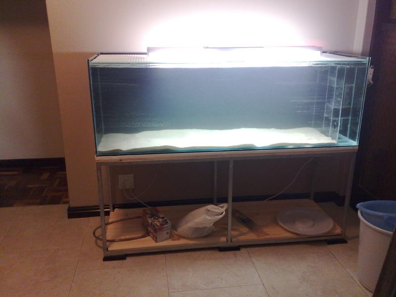 09062011573.jpg
