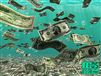 100-happy-money-screensaver-16214s.jpg