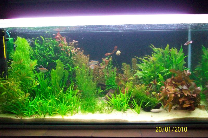 100_0501.jpg