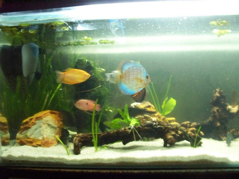 100_1324.jpg