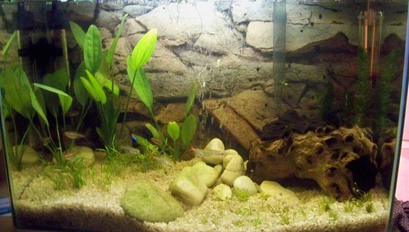 100_3382.jpg