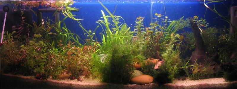 100l Cropped.jpg