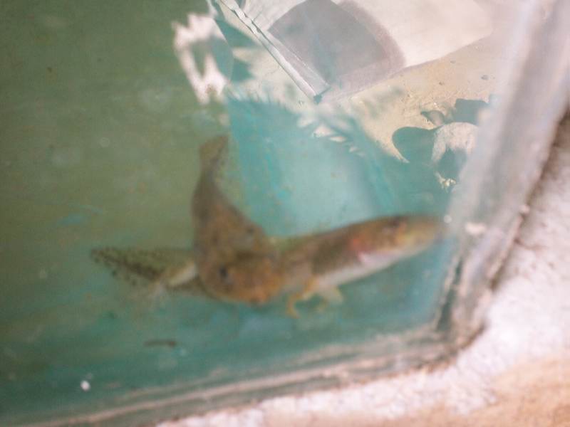 111100_0837.JPG