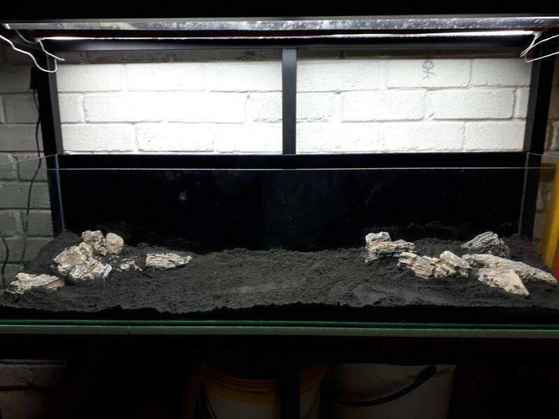13.%20Tank%20and%20soil_zpsqfl1otzg.jpg