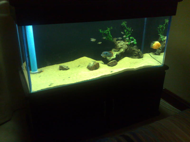 13092010001.jpg