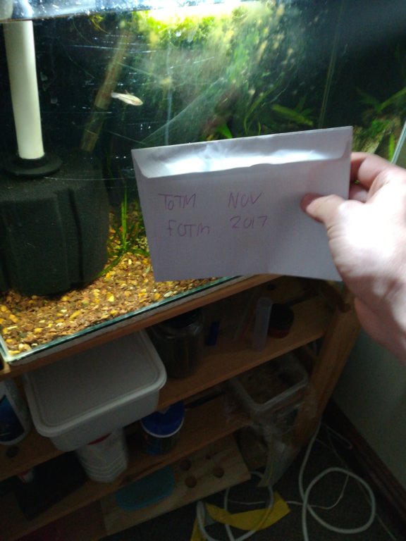 1510503881846139341406.jpg