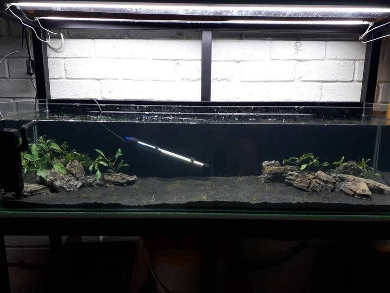 18%20Full%20tank_zpsteorwmzt.jpg