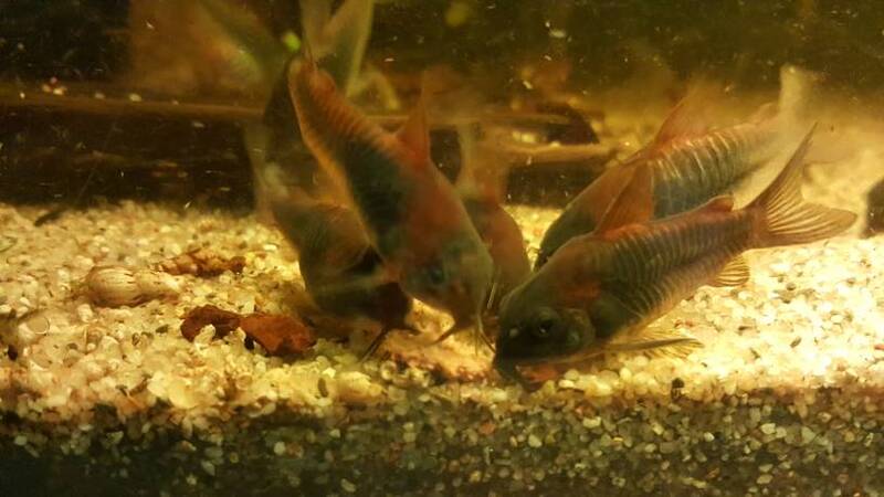 19c3fcb17e82023233bf3544c03fea55.jpg