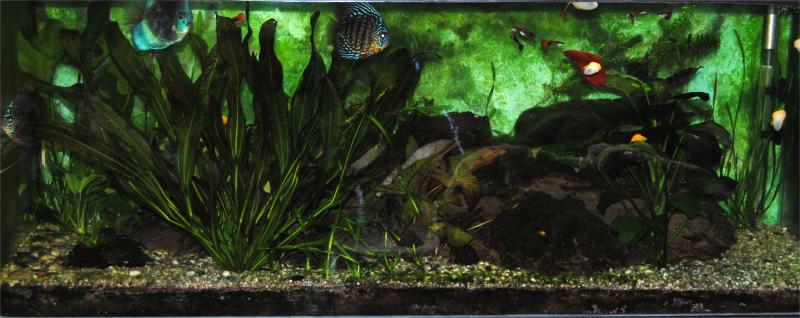 20 maart tank.jpg