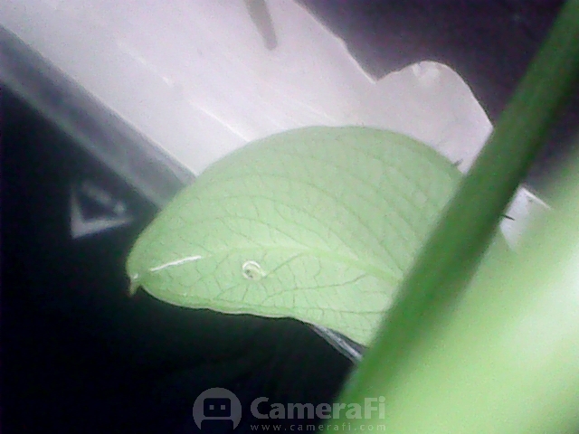200731_182632.jpg