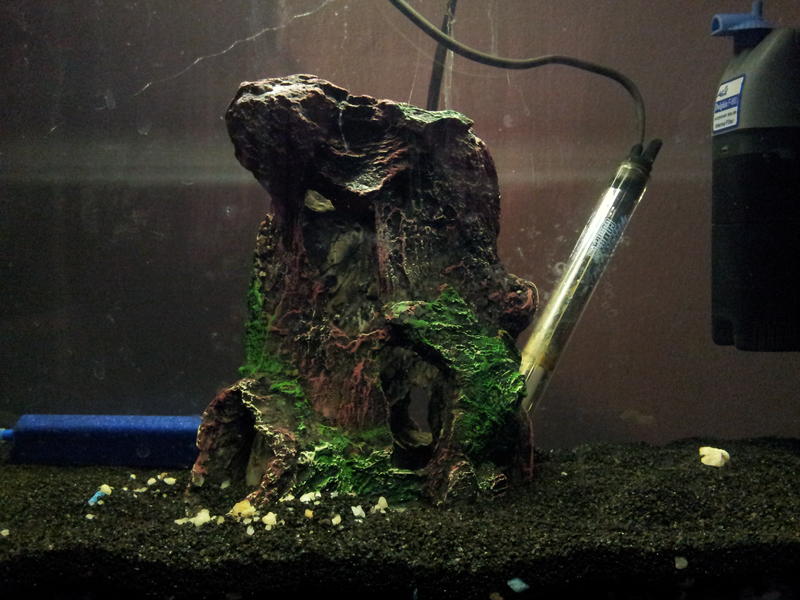 2011-09-10 10.21.37.jpg