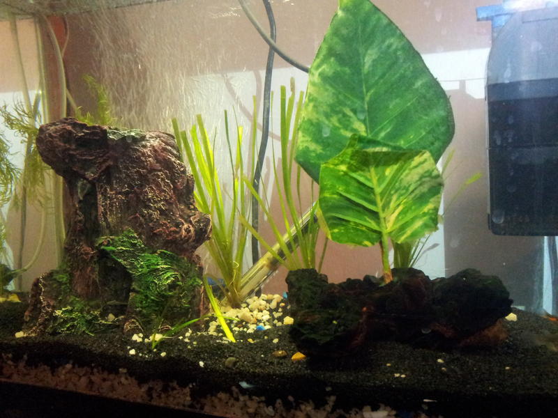 2011-09-12 21.47.20.jpg