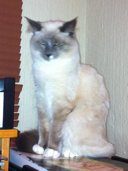 20111205_45.jpg
