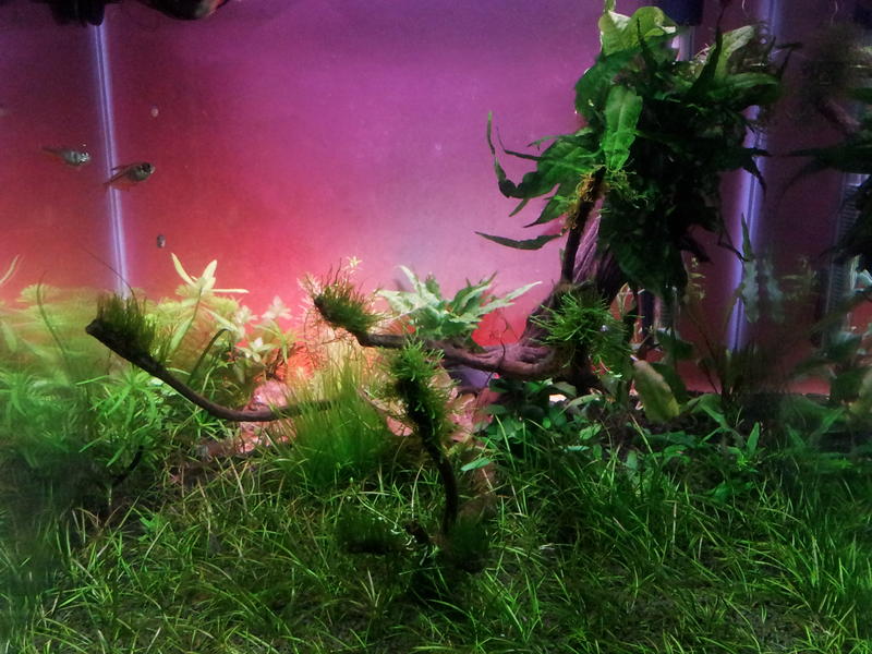 2012-03-16 19.48.59.jpg