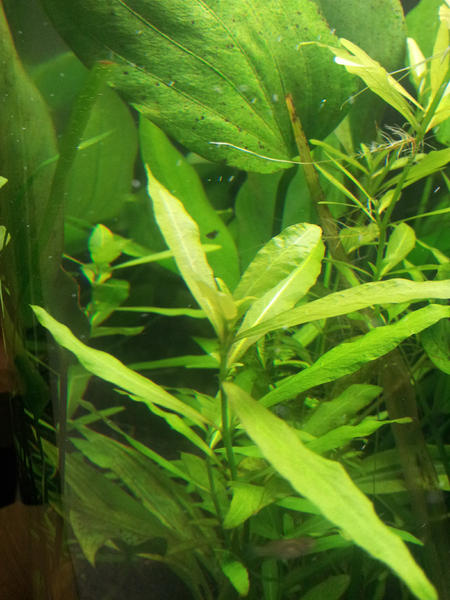 2012-03-31 16.13.43.jpg