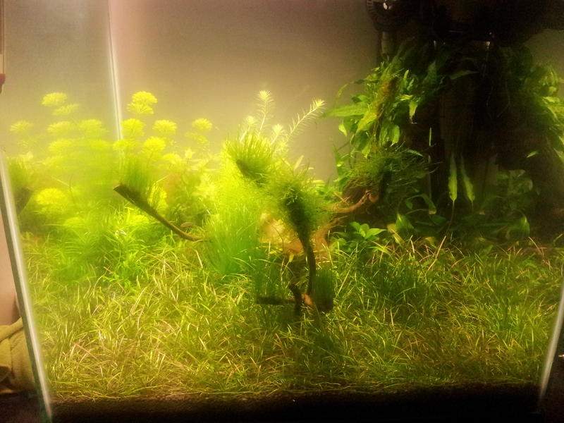 2012-04-08 17.40.16.jpg