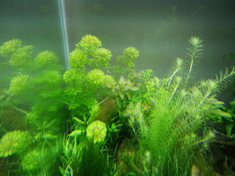 2012-04-08 17.42.28.jpg