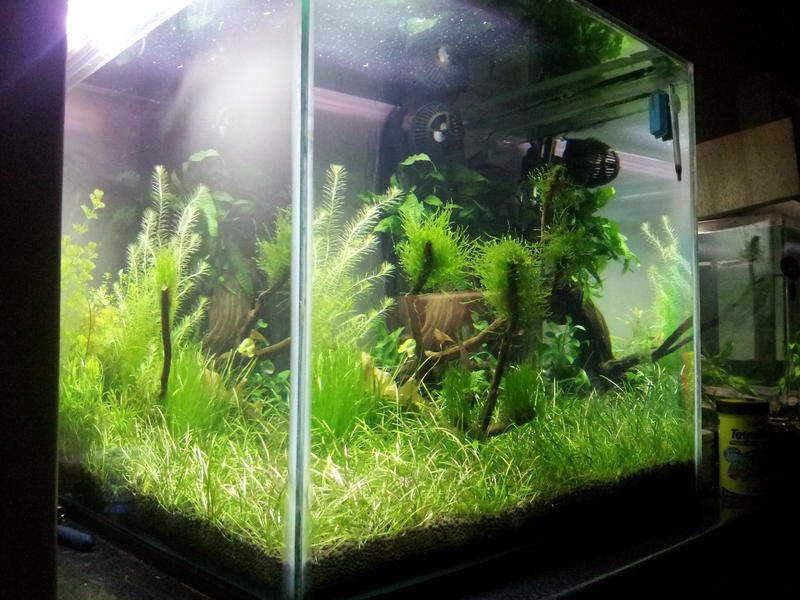 2012-04-13 19.43.30.jpg