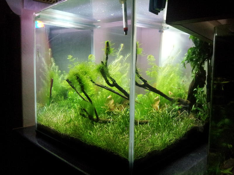 2012-04-13 19.44.09.jpg