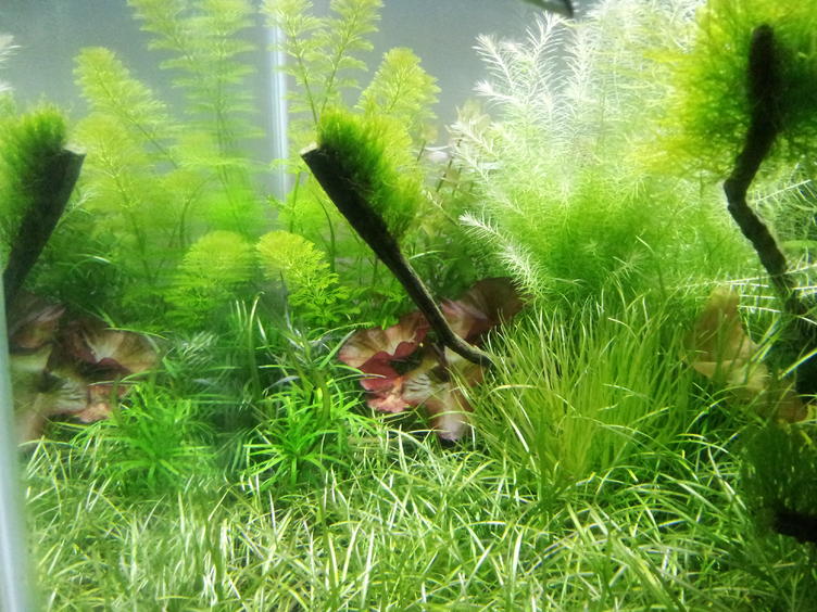 2012-05-13 18.14.47.jpg