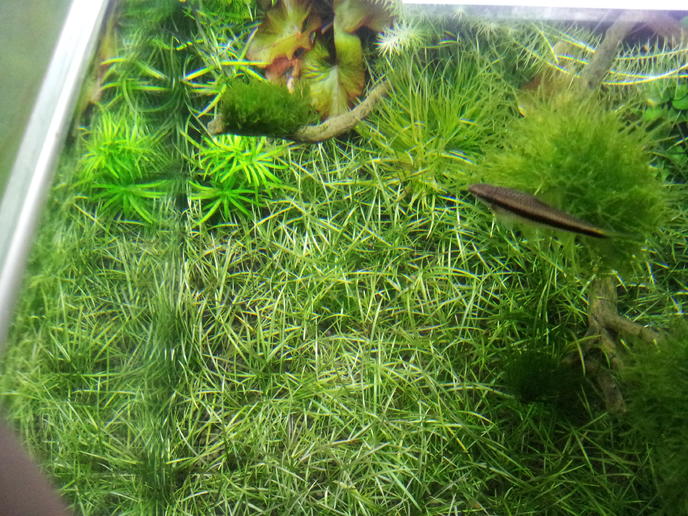 2012-05-13 18.15.27.jpg