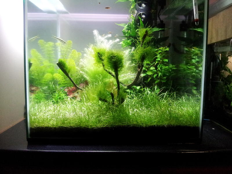 2012-05-13 18.18.57.jpg