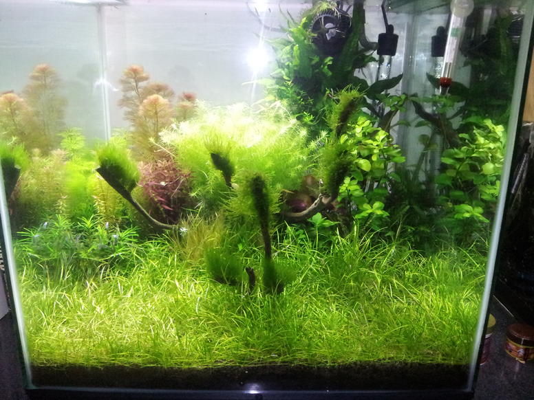 2012-06-13 17_04_27.jpg