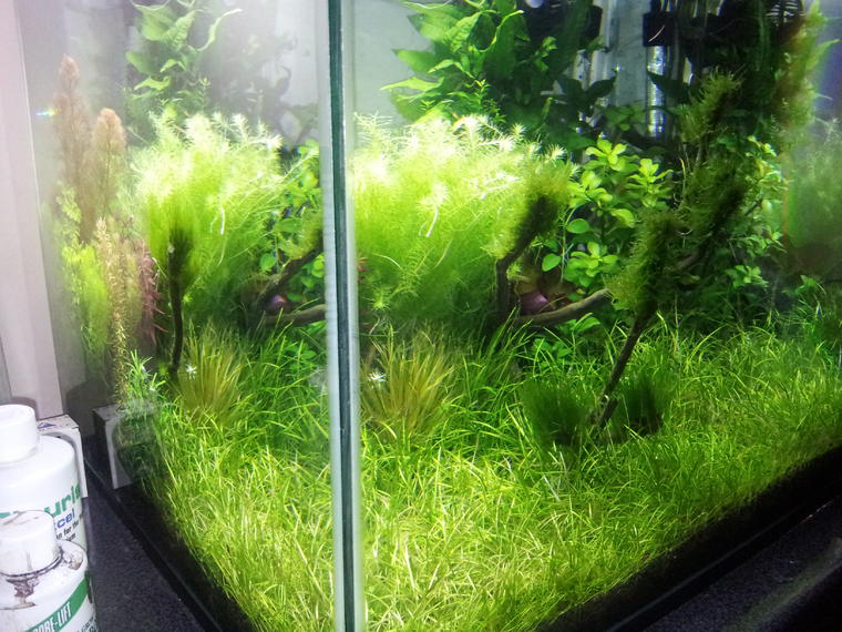 2012-06-13 17_05_00.jpg