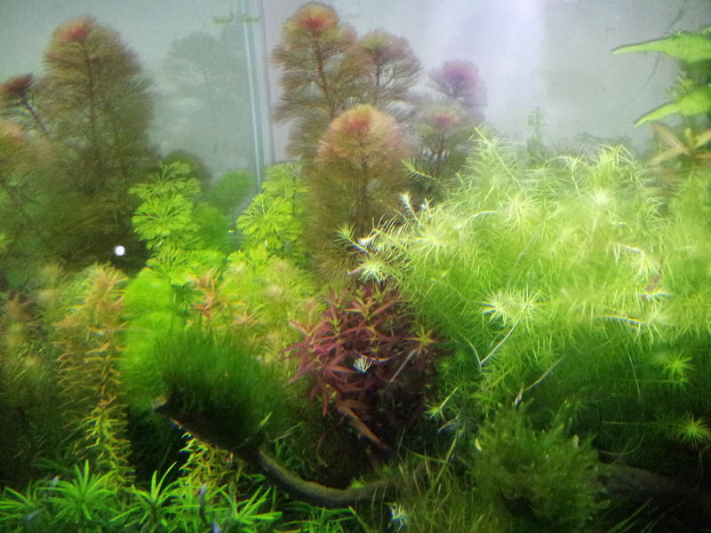 2012-06-13 17_05_35.jpg
