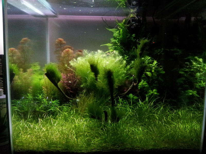 2012-06-13 17_07_29.jpg