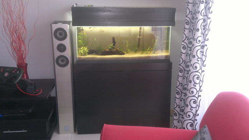 2012-07-10-410.jpg