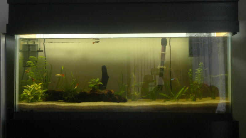 2012-07-10-411.jpg