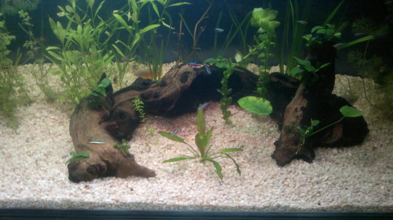 2012-10-19-620.jpg