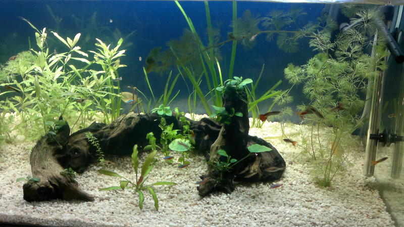 2012-10-28-710.jpg