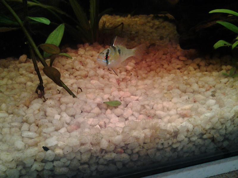 20120828_223144.jpg