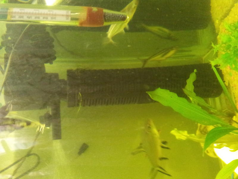 20120829_080045.jpg