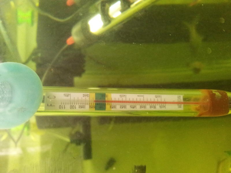 20120829_080103.jpg