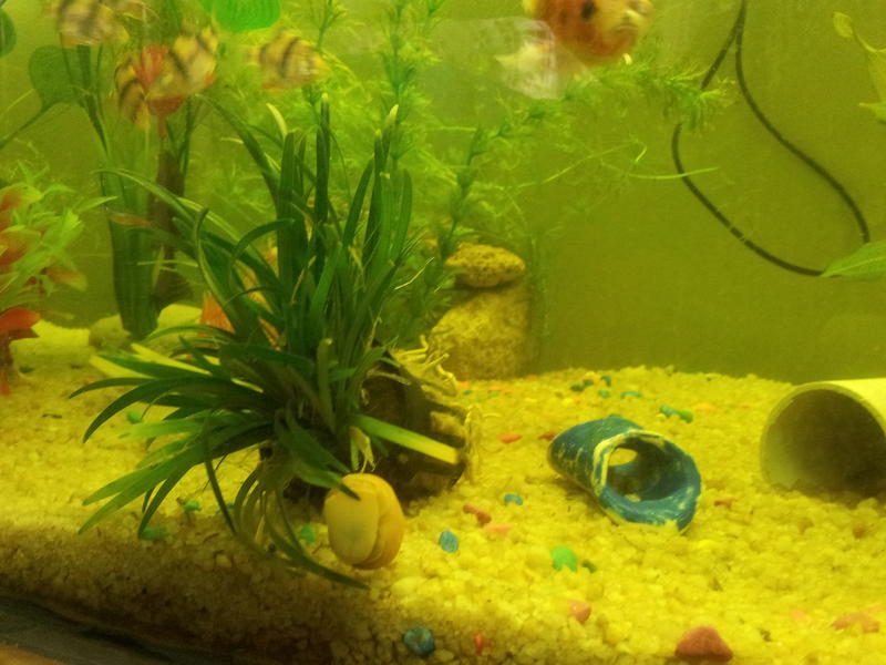 20120829_080116.jpg
