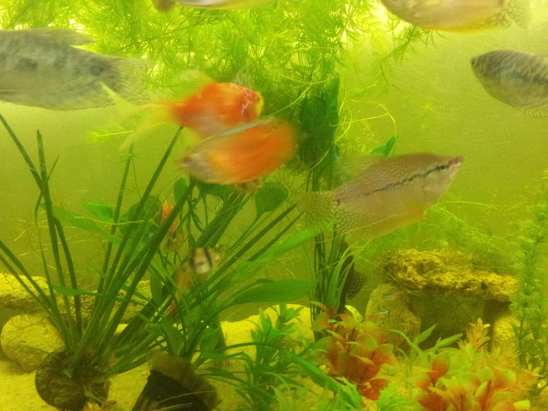 20120829_080140.jpg