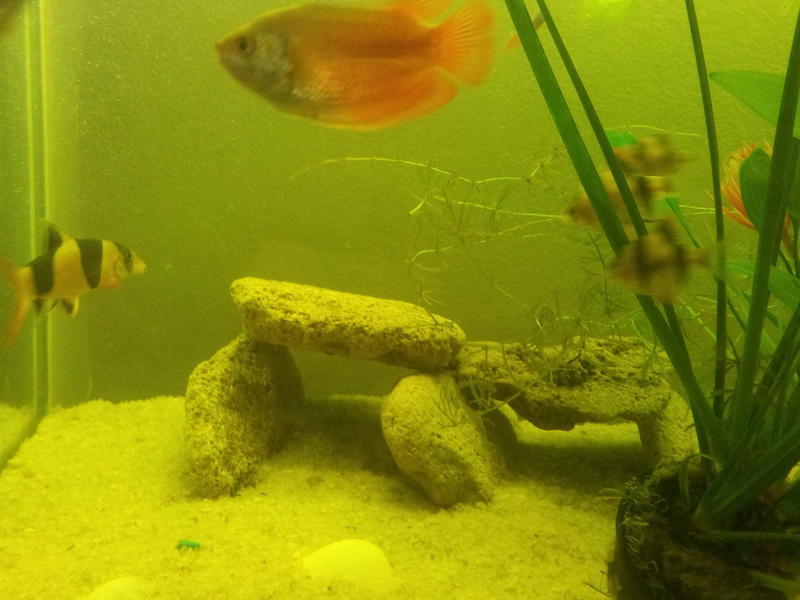 20120829_080248.jpg