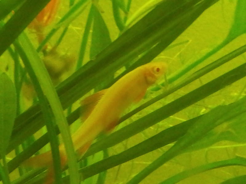 20120829_080258.jpg