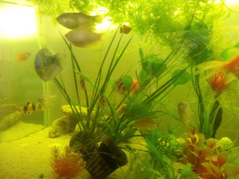 20120829_080356.jpg