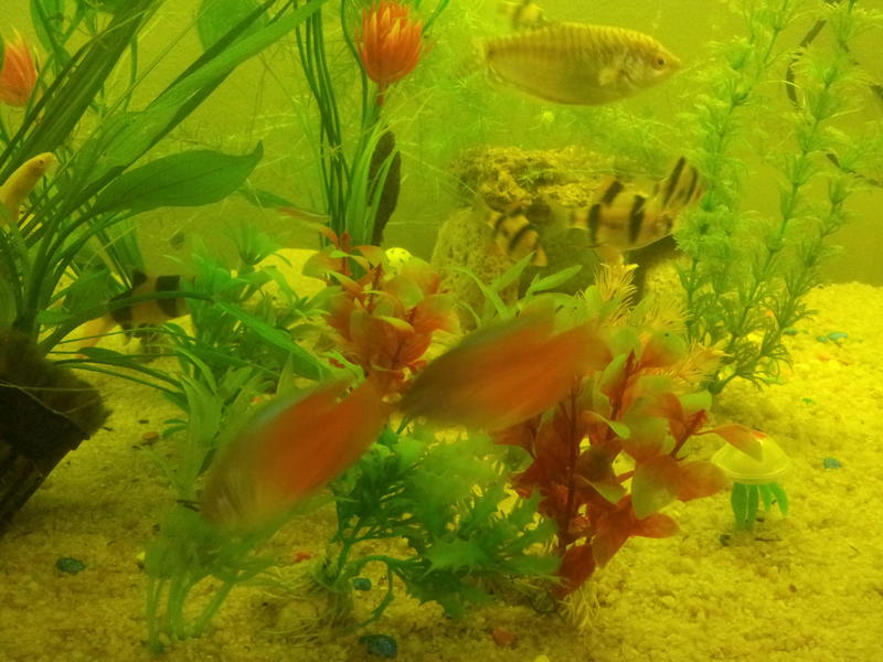20120829_080420.jpg