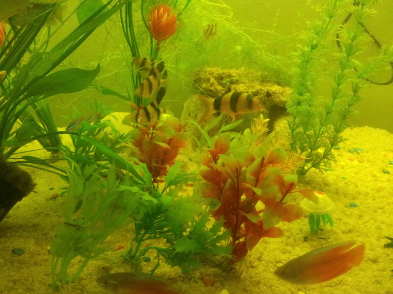 20120829_080425.jpg