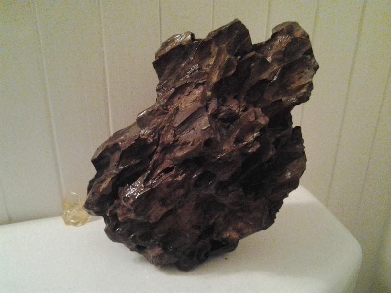 20120903_223602.jpg
